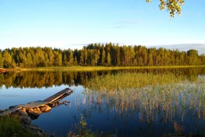 Močvare su zaštita od klimatskih katastrofa