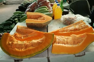 Lak uzgoj belog duleka, a velika potražnja