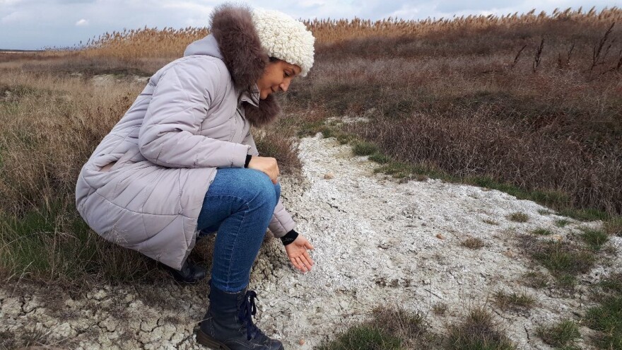 Lalinačka slatina krije živo blato i retke biljke i životinje