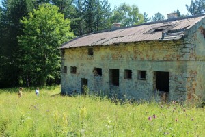 U NP "Drina" raste 635 vrsta biljaka, a stanište je za 85 vrsta divljači