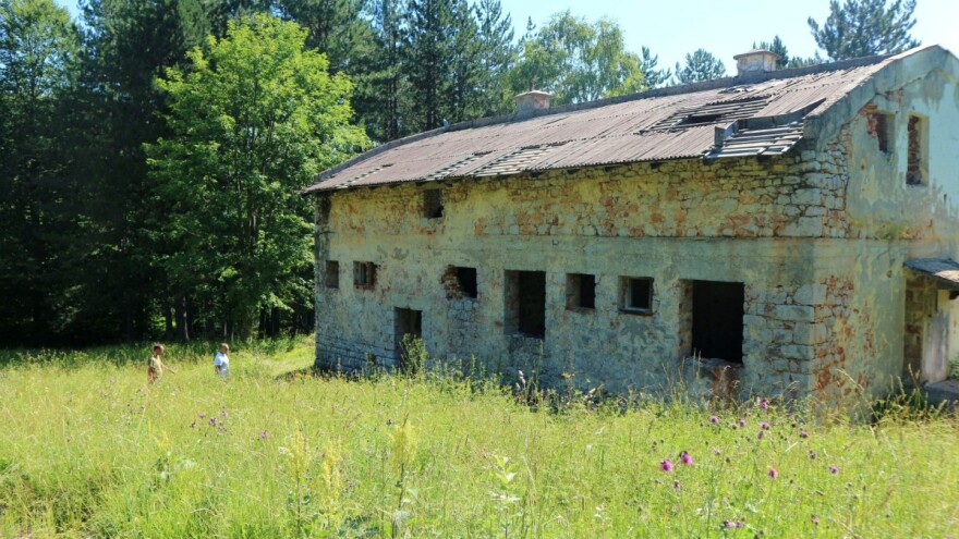 U NP "Drina" raste 635 vrsta biljaka, a stanište je za 85 vrsta divljači