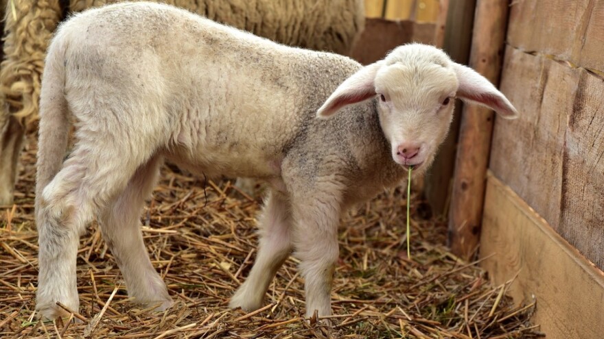 Javnost o Zakonu o službenim kontrolama