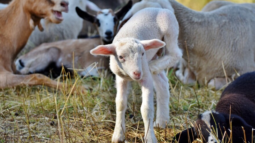 Podrška od 25.000 KM marginalizovanim grupama žena