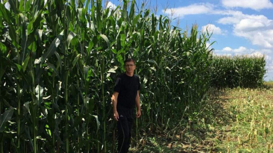 Tekući dušik za primjenu u kukuruzu i do 11 listova!