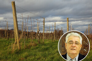 Poljodjelci su zasad zadovoljni vremenom, uskoro će i radovi u vinogradu - što nas čeka ovaj tjedan?
