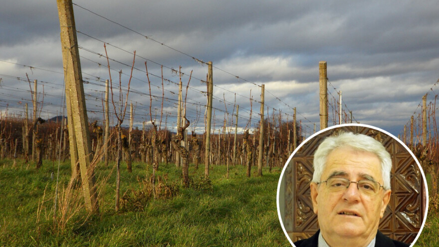 Poljodjelci su zasad zadovoljni vremenom, uskoro će i radovi u vinogradu - što nas čeka ovaj tjedan?