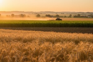 Lani rasle cijene većini poljoprivrednih proizvoda