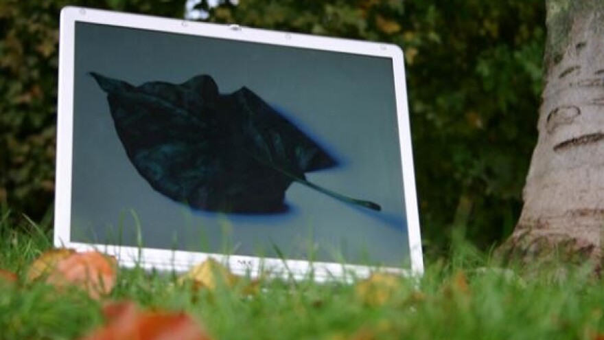 Elektronski registar goveda