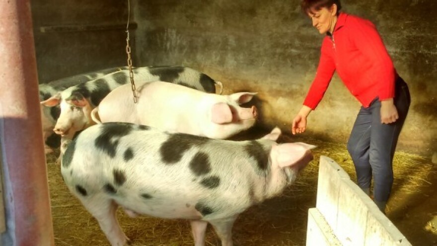 Trećinu hrvatskih OPG-a vode žene