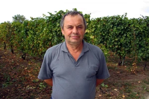 Vina od novostvorenih sorti imaju kupca