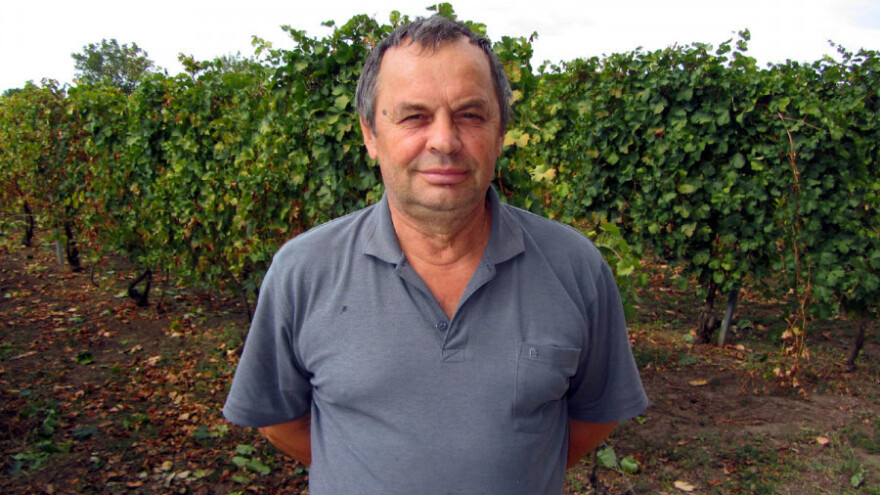 Vina od novostvorenih sorti imaju kupca