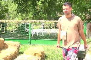 Zalažemo se za slamu, najbolji način malčiranja