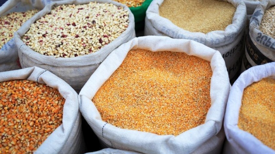 Latinska Amerika - hraniteljica svijeta?