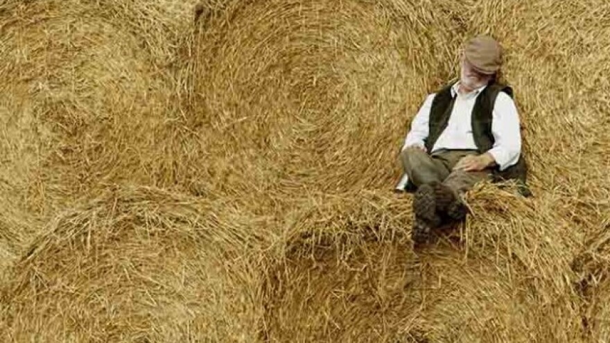 Samo je jedan Lav - kralj slavonske ravnice!