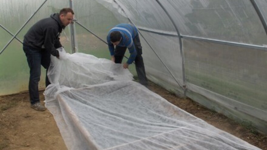 Nezaposlenih Hrvata više nego smilja