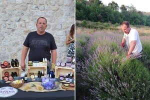 Pod stonskim zidinama Šatara uzgaja lavandu, a plan je da je beru i turisti