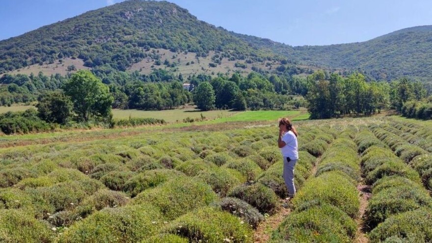 Iza lavandinih polja u Lici i certificiranih eko proizvoda stoji poduzetna zlatarica