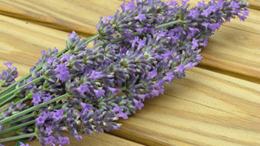 Uspješan projekt Etno-eko sela