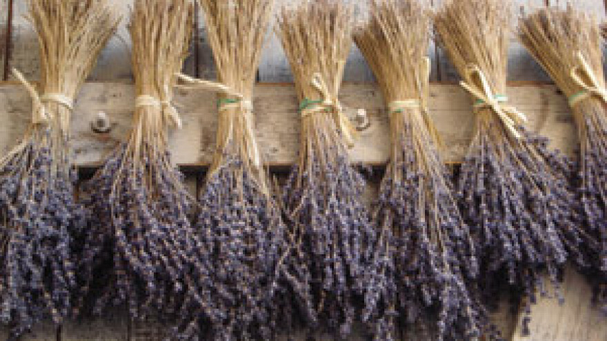 Pola milijuna eura hvarskim etnoselima