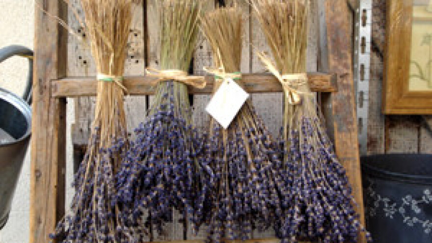 U razvoj 82 etno-ekosela uloženo 8,2 milijuna kuna