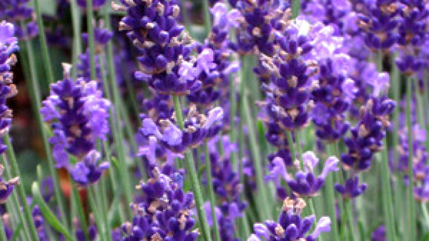 Radionica: jačanje nadzorne službe za rad u ekološkoj mreži