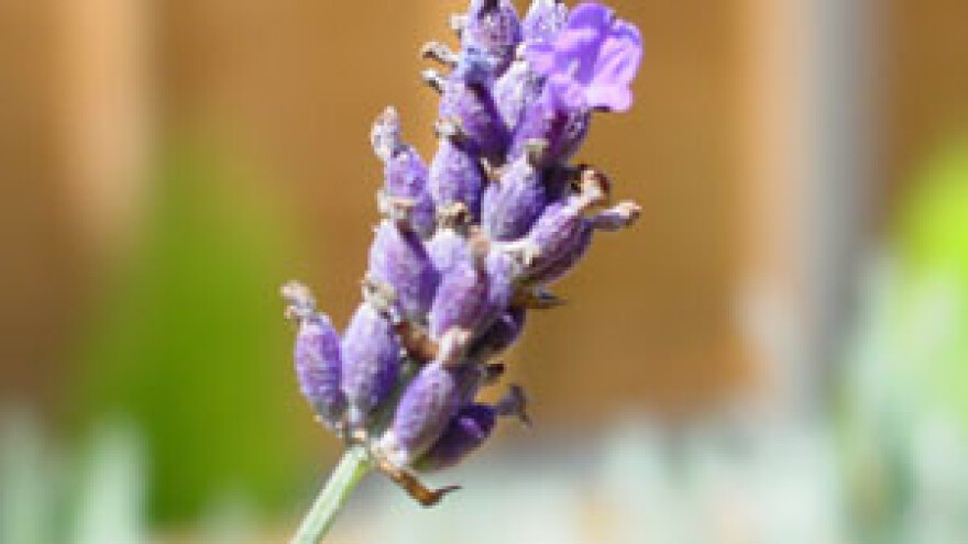 Odražana radionica "Ekološka mreža"