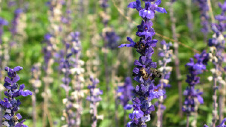 Radionica za jačanje nadzorne službe u ekološkoj mreži
