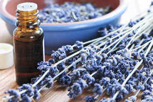 Kalkulacije aromatičnog i ukrasnog bilja 2012