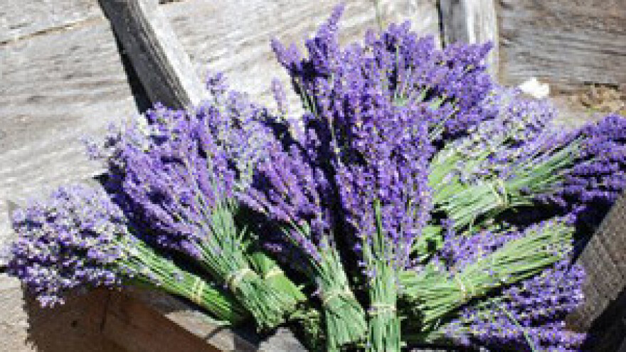 Za ruralni razvoj Zadarske županije 340 projekata