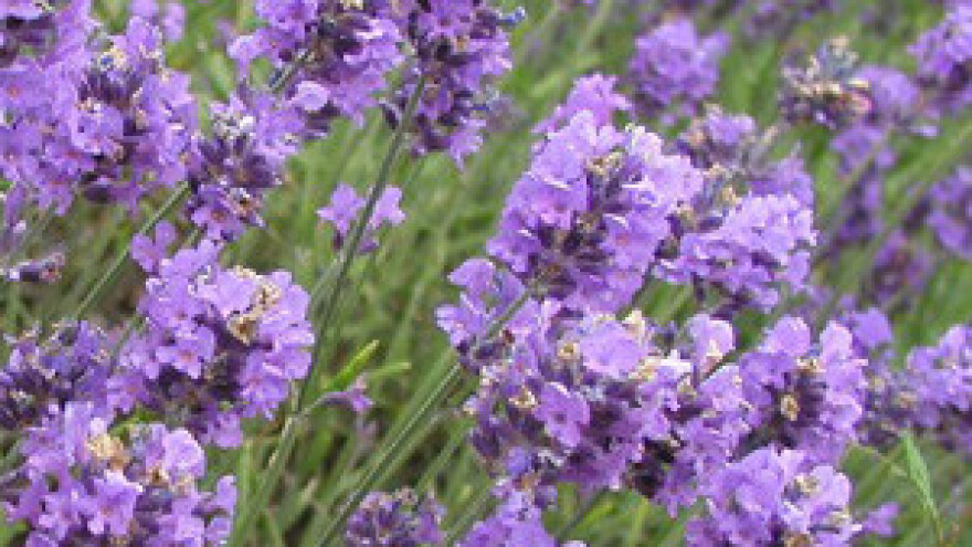 Za razvoj eko-etno sela 630.000 kuna