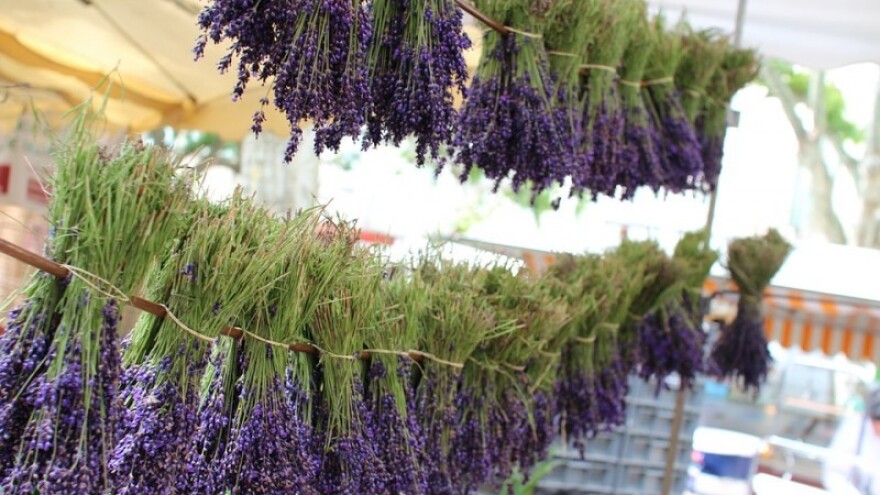 Od mediteranskog bilja do čajeva i kozmetike