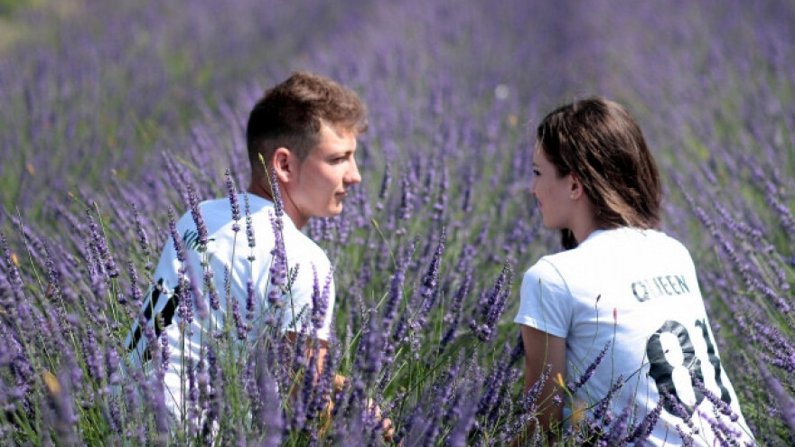 Potpore Šibensko-kninske županije agraru