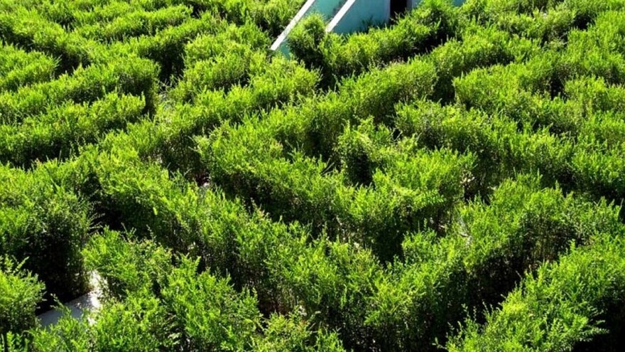 Enigmatska zelena oaza za avanturiste!