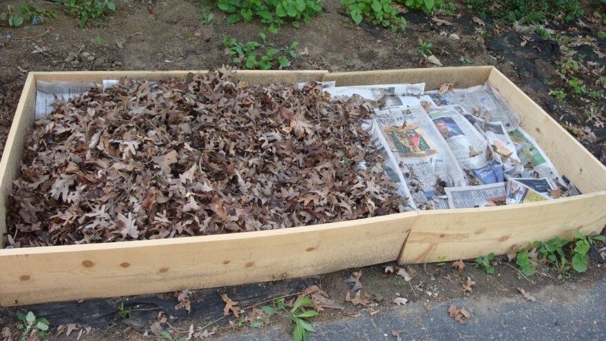 Kako da napravite "lazanja" baštu