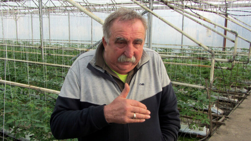 Povrtarima potrebna organizacija kao u Italiji?