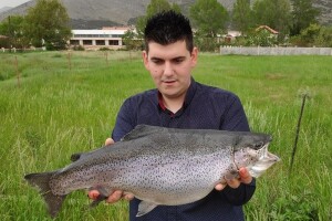 Ulovio pastrmku tešku 4 kg i dugu 65 cm u Trebišnjici