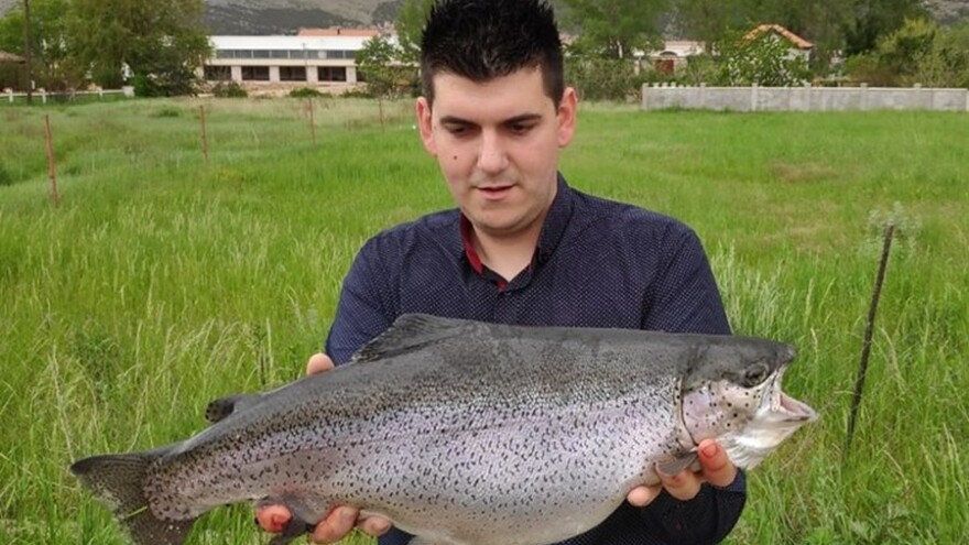 Ulovio pastrmku tešku 4 kg i dugu 65 cm u Trebišnjici