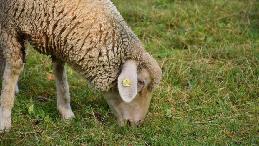 Lažirao poljoprivrednu djelatnost i izvukao 200.000 kuna poticaja