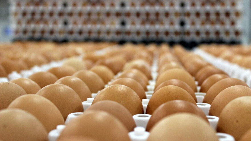 Cena jaja raste pred Uskrs - sve je manje onih iz slobodnog uzgoja