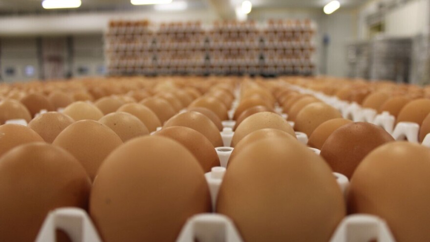 TISUP: Pad otkupne cijene mlijeka, pileći trupovi i jaja bez značajnije promjene