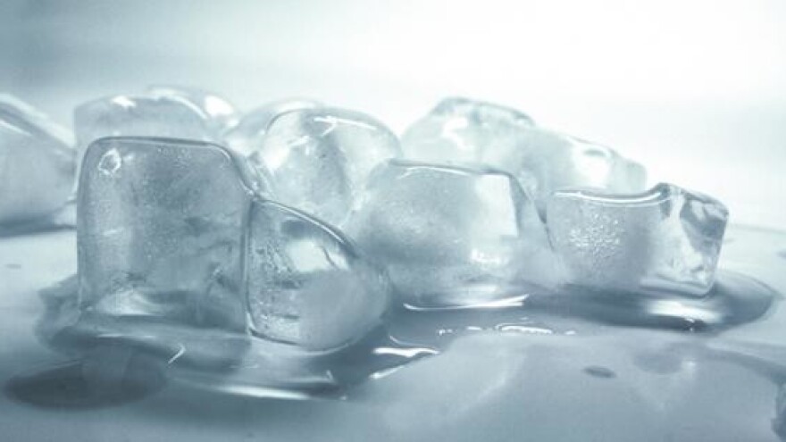 Ludbreškim poljoprivrednicima tuča uništila usjeve