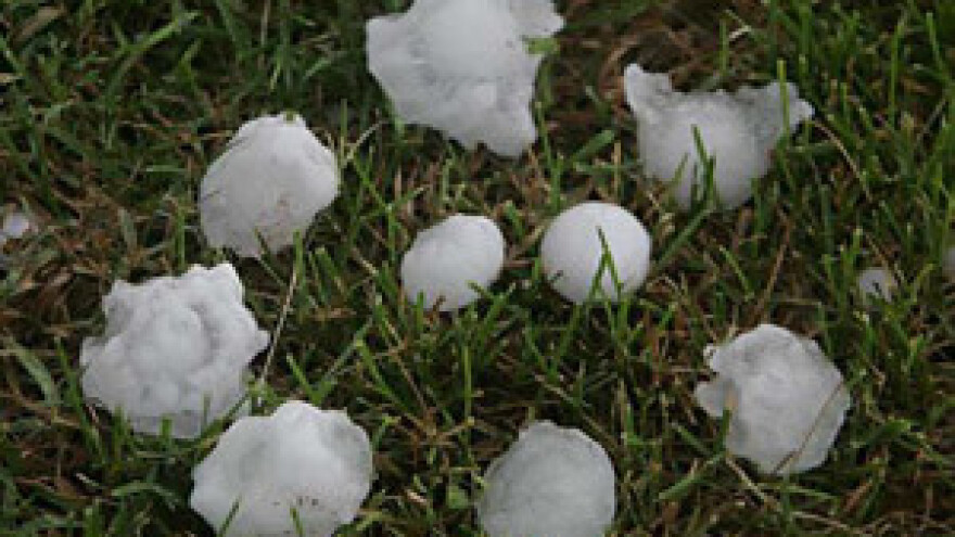 Tuča poharala voćnjake