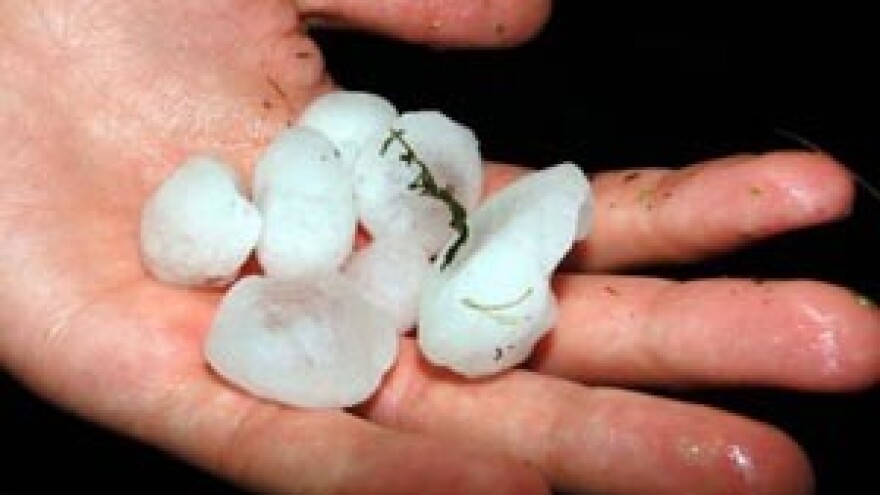 Led poharao orahovičke vinograde