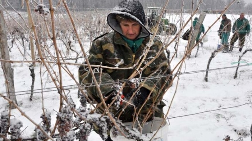 Temperature su idealne za ledenu berbu