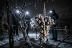 Ledena berba u Zagorju