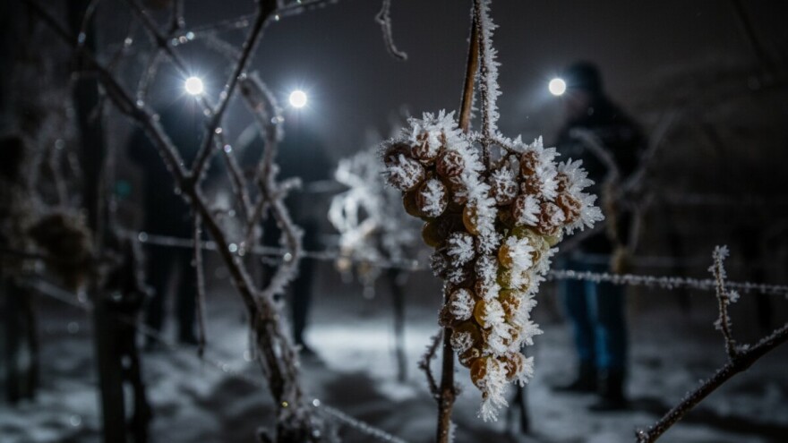 Ledena berba u Zagorju
