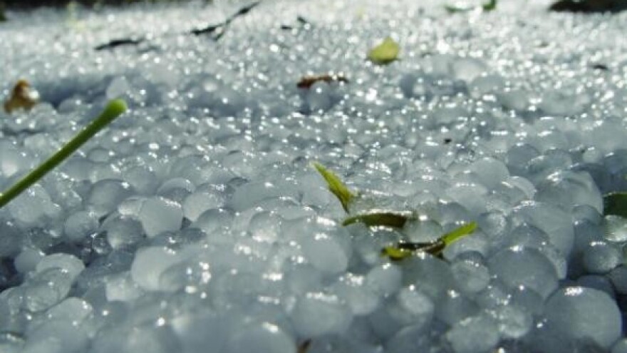 Osigurano samo desetak posto usjeva