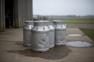 Ledo prestaje s otkupom mlijeka