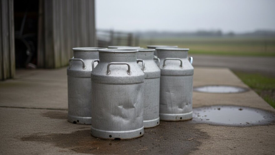 Ledo prestaje s otkupom mlijeka