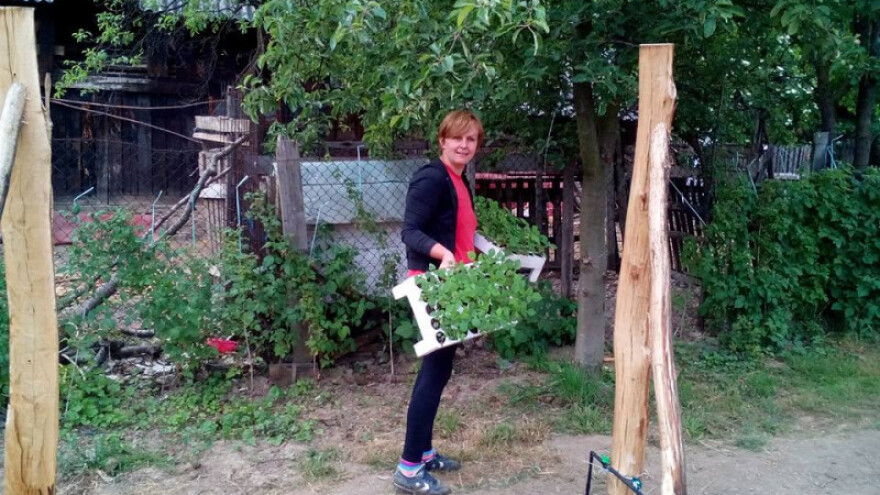 Oživjeli Hadžijin mlin, a šansu vide i u malinama